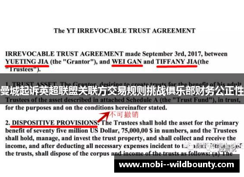 曼城起诉英超联盟关联方交易规则挑战俱乐部财务公正性 曼城起诉英超联盟关联方交易规则挑战俱乐部财务公正性