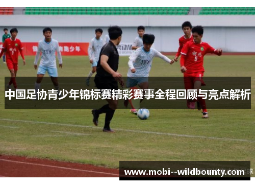 中国足协青少年锦标赛精彩赛事全程回顾与亮点解析