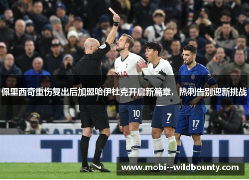 佩里西奇重伤复出后加盟哈伊杜克开启新篇章，热刺告别迎新挑战