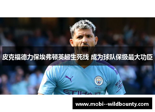 皮克福德力保埃弗顿英超生死线 成为球队保级最大功臣 皮克福德力保埃弗顿英超生死线 成为球队保级最大功臣