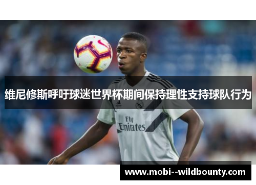 维尼修斯呼吁球迷世界杯期间保持理性支持球队行为 维尼修斯呼吁球迷世界杯期间保持理性支持球队行为